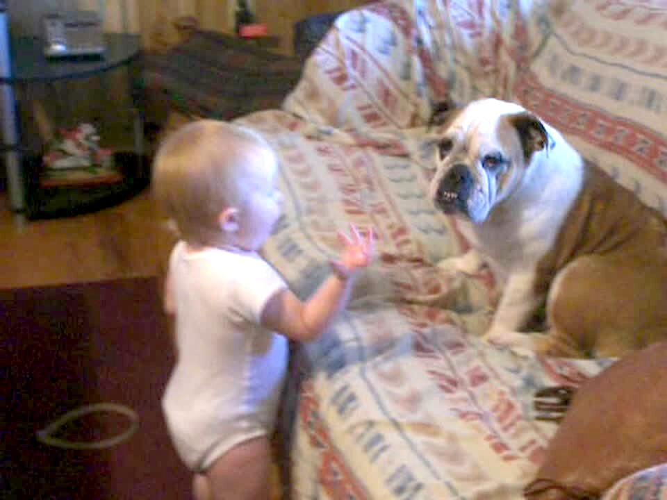 Video thumbnail showing: Baby girl talks gibberish animatedly to a bulldog sitting on the couch.